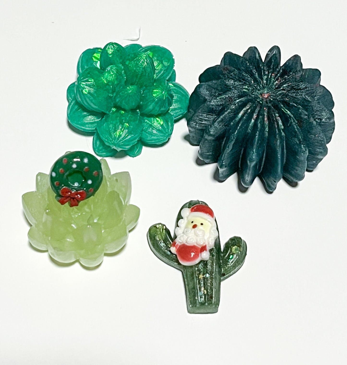 Christmas Cacti