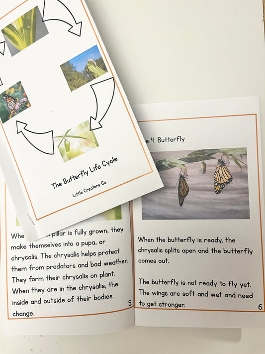 Butterfly Life Cycle Printable Book
